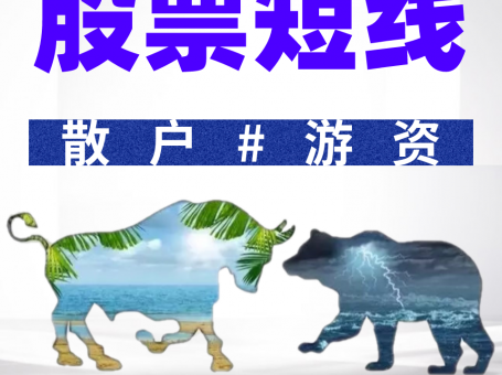 毛毛老师游资短线复利增长游资短线溢价术视频课￼